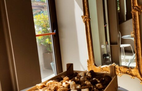 Spugnole in arrivo-min